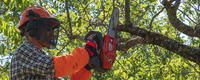 OLEO-MAC GSTH 240 PROFESSIONAL CHAINSAW CHAIN SAW LOPPER LOPPER LOPPER PREMIUM GRADE 50359001E5 EWIMAX-OFFICIAL DISTRIBUTOR - AUTHORIZED OLEO-MAC DEALER