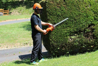OLEO MAC HC605 E HEDGE TRIMMER SHRUB SHEARS ELECTRIC POWER 600W PREMIUM CLASS 58089005 EWIMAX-OFFICIAL-DISTRIBUTOR-AUTHORIZED OLEO-MAC DEALER