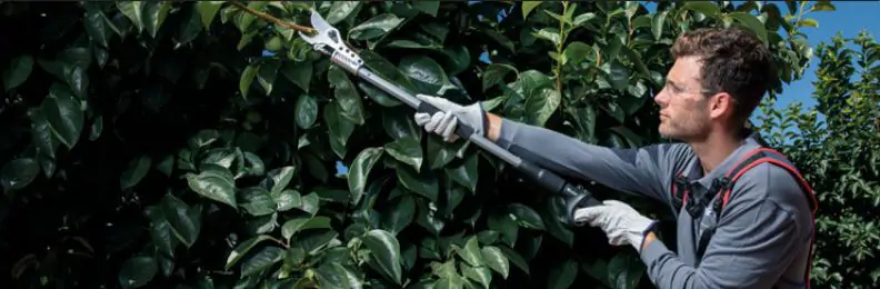 Sekator KAMIKAZE KV 205 w pracy przy wysokich gałęziach