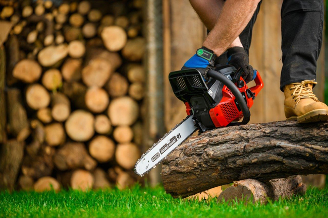 CEDRUS PS40-16T PETROL CHAIN SAW OREGON / WALBRO 2 KM - EWIMAX - OFFICIAL DISTRIBUTOR - AUTHORIZED CEDRUS DEALER