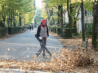 CIFARELLI BL1200 FOUKAČ LISTÍ BENZÍNOVÝ HOOVER BL 1200 GARDEN PROFI PROFESSIONAL - OFICIÁLNÍ DISTRIBUTOR - AUTORIZOVANÝ PRODEJCE CIFARELLI