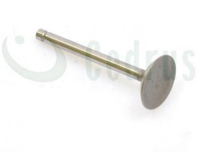 Zawór ssący Robin EX17 CZĘŚĆ ORYGINALNA 0001000341