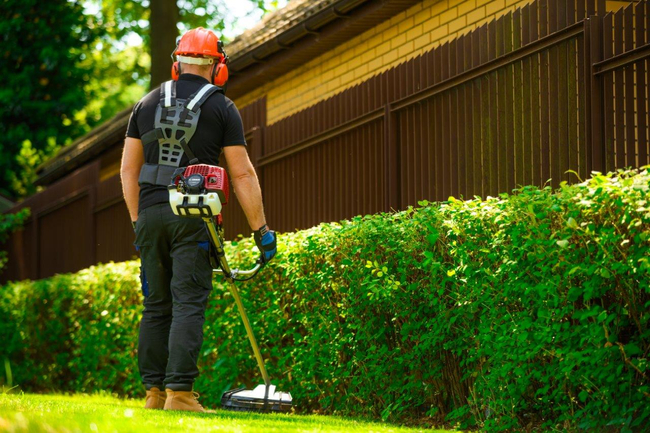 CEDRUS WK330 PETROL GRASS TRIMMER MOWER 1.2 KM EWIMAX-OFFICIAL DISTRIBUTOR - AUTHORIZED CEDRUS DEALER