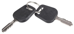 Cedrus tractor ignition key Cedrus tractor Challenge Starjet ORIGINAL PART N443900137