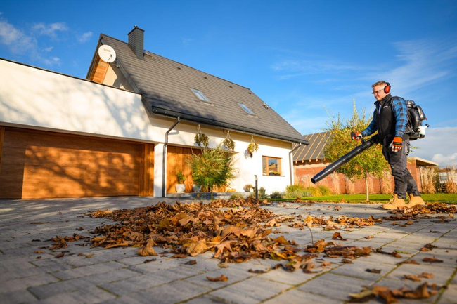 CEDRUS DM05 PRO PROFESSIONAL GARDEN LEAF BLOWER HOOVER - OFICIÁLNÍ DISTRIBUTOR - AUTORIZOVANÝ PRODEJCE CEDRUS