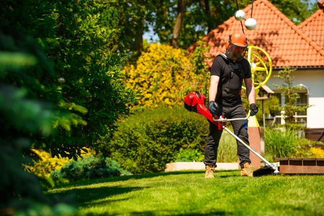 CEDRUS WK430X BENZÍNOVÁ SEKAČKA NA TRÁVU 1,8 KM EWIMAX - OFICIÁLNÍ DISTRIBUTOR - AUTORIZOVANÝ PRODEJCE CEDRUS