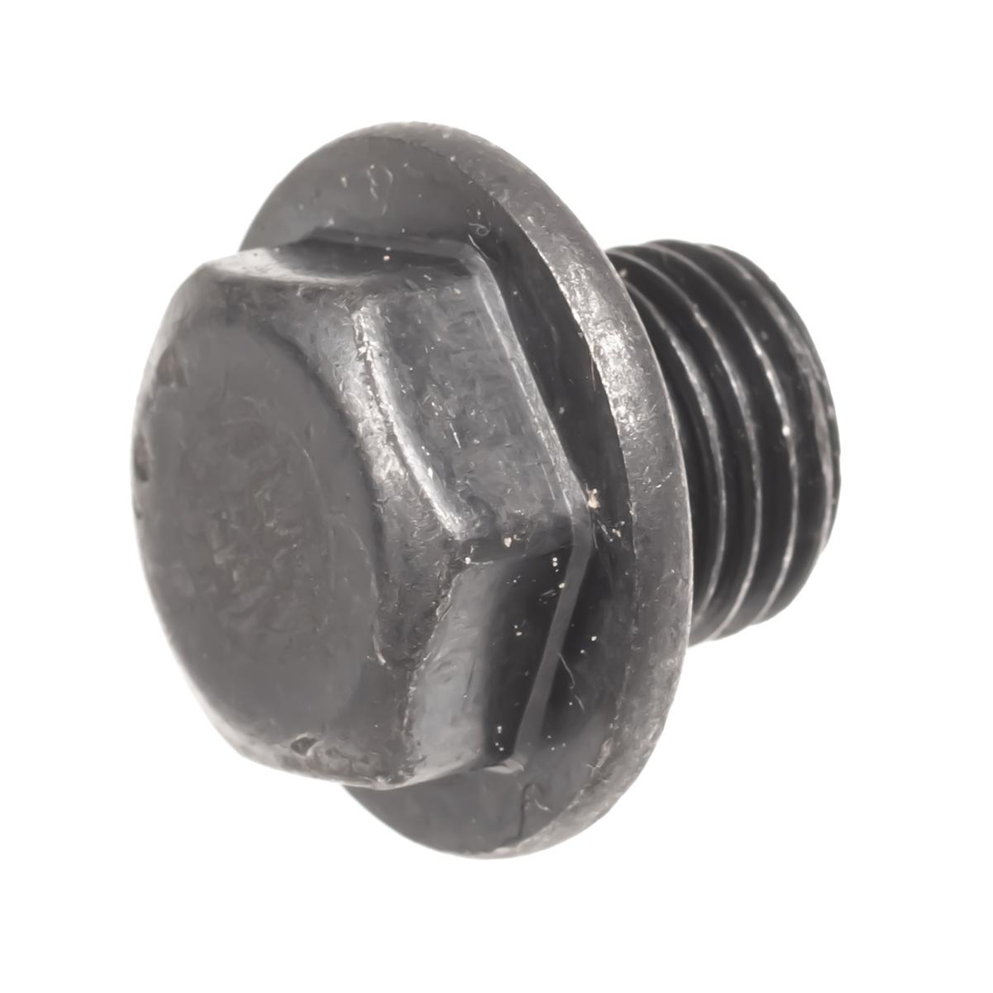 Korek pompy do zagęszczarki Cedrus CEDZG05 540347