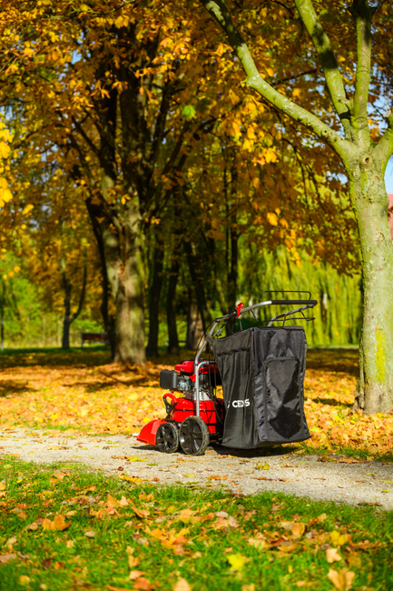 CEDRUS LV58 S PROFESSIONAL CLEANER + 4in1 SPRINEL LEAF VERTICULATOR 4in1 GARDEN DRIVE ROAD DRIVER 2in1 LV58S - OFFICIAL DISTRIBUTOR - AUTHORIZED DEALER CEDRUS