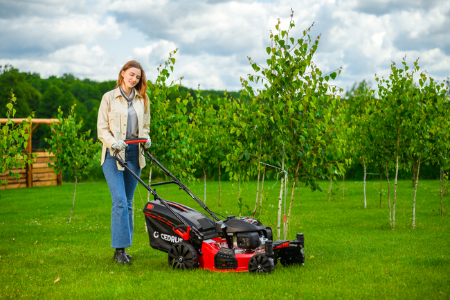 CEDRUS KS51S-H-ZT HONDA KOSIARKA SPALINOWA DO TRAWY Z NAPĘDEM 5w1 51cm / 4.6 KM HONDA GCV170 - EWIMAX - OFICJALNY DYSTRYBUTOR - AUTORYZOWANY DEALER CEDRUS