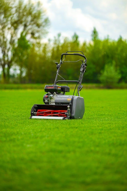 CEDRUS SM42 SPRINNE REEL MOWER 42 cm / 6.5 hp CEDRUS CEDSM42 - OFFICIAL DISTRIBUTOR - AUTHORIZED DEALER CEDRUS