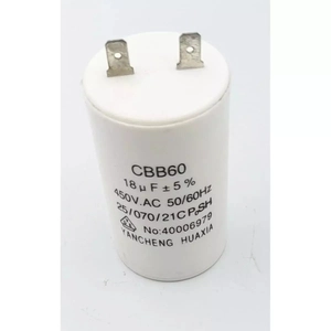 CAPACITOR