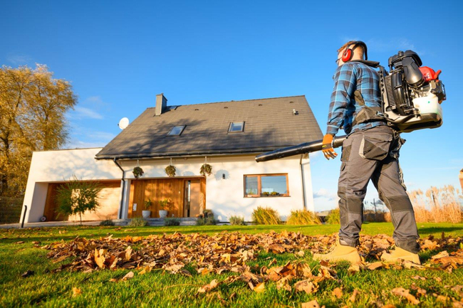 CEDRUS DM05 PRO PROFESSIONAL GARDEN LEAF BLOWER VACUUM CLEANER - OFFICIAL DISTRIBUTOR - AUTHORIZED CEDRUS DEALER