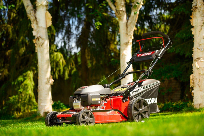 CEDRUS KS53S-H ALUMINIUM MOWER WITH HONDA GCV200 5in1 53cm / 4.1 HP - EWIMAX - OFFICIAL DISTRIBUTOR - AUTHORIZED DEALER CEDRUS