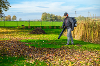 CEDRUS DM05 PRO PROFESSIONAL GARDEN LEAF BLOWER HOOVER - OFICIÁLNÍ DISTRIBUTOR - AUTORIZOVANÝ PRODEJCE CEDRUS