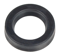 Sealer Cedrus pressure washer MC110 560166