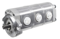 Cedrus diesel transporter pump CEDTR800GH-L 790254