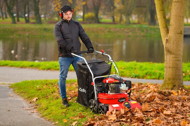 Material basket for Cedrus LV58S vacuum cleaner 9500122 - OFFICIAL DISTRIBUTOR - AUTHORIZED DEALER CEDRUS