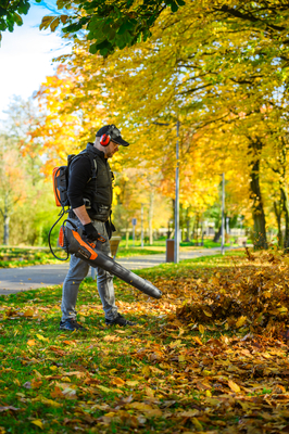 Cedrus BL210-P Dmuchawa akumulatorowa Cedrus 60V BL210-P, bez aku i ładowarki CEDBL210-P