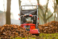 CEDRUS LV58 S PROFESSIONAL CLEANER + 4in1 SPRINEL LEAF VERTICULATOR 4in1 GARDEN DRIVE ROAD DRIVER 2in1 LV58S - OFFICIAL DISTRIBUTOR - AUTHORIZED DEALER CEDRUS