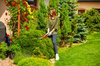 Nożyce akumulatorowe Cedrus CEDGS100LI CEDGS100LI