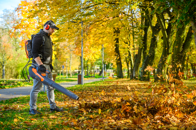 Cedrus BL210-P Cordless blower Cedrus 60V BL210-P, without battery and charger CEDBL210-P