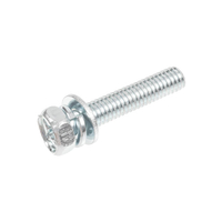 CEDRUS screw M6x30 sprayer OP03 071002