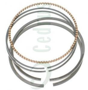 B&S Quantum 8R55-148 piston rings