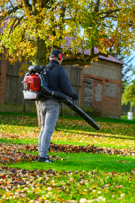CEDRUS DM05 PRO PROFESSIONAL GARDEN LEAF BLOWER HOOVER - OFICIÁLNÍ DISTRIBUTOR - AUTORIZOVANÝ PRODEJCE CEDRUS