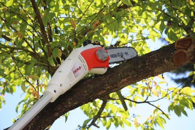 IKRA IEAS 750 saw chain saw cutting machine for branch timber ELECTRIC 20 cm / 750 W PREMIUM OB-IKRIEAS750 EWIMAX - OFFICIAL DISTRIBUTOR - AUTHORIZED DEALER IKRA