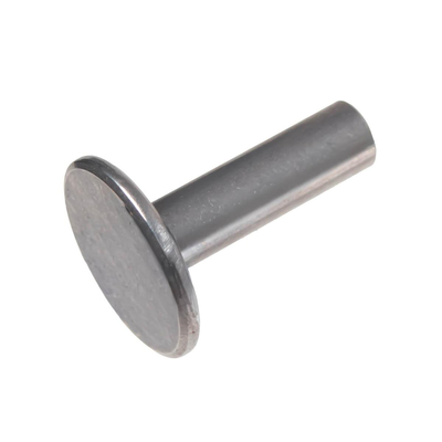 Tlačný motor Cedrus Y173VE 485256