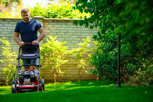 HONDA KOSIARKA SPALINOWA DO TRAWY CEDRUS KS53S-H AL ALUMIONIOWA Z NAPĘDEM HONDA GCV200 5w1 53cm / 4.1 KM - EWIMAX - OFICJALNY DYSTRYBUTOR - AUTORYZOWANY DEALER CEDRUS