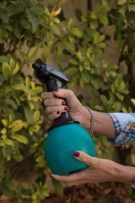 FOREST 1L BATTERY SPRAYER + MICRO NOZZLE 85 MICRON OTH-GSK14816