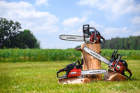 CEDRUS PS25-10T PETROL CHAINSAW SAW LUMBER CUTTER OREGON - EWIMAX - OFFICIAL DISTRIBUTOR - AUTHORIZED CEDRUS DEALER