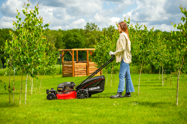 CEDRUS KS51S-H-ZT HONDA 5in1 SPRINELOVÁ SEKAČKA S POHONEM 51cm / 4,6 HP HONDA GCV170 - EWIMAX - Oficialní distributor - autorizovaný prodejce CEDRUS