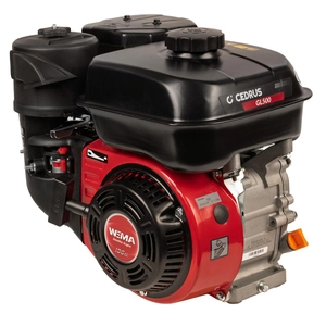 WM168FB/P engine CEDRUS soil planter GL500 WM168FB/P