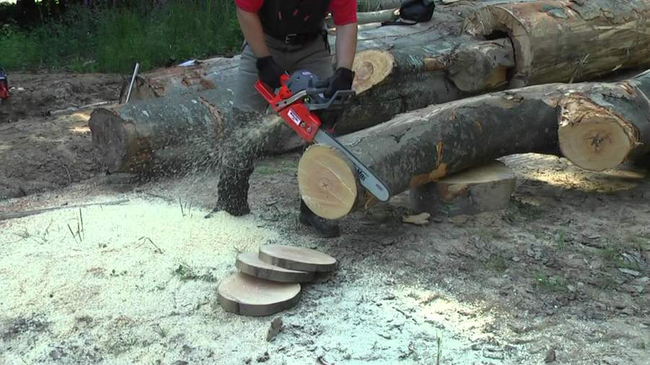 OLEO-MAC GS651 PROFI PROFESSIONAL CHAIN SAW ŘETĚZOVÁ PILA GS 651 5.2KM PREMIUM 50259100E2 AUTORIZOVANÝ PRODEJCE OLEO-MAC