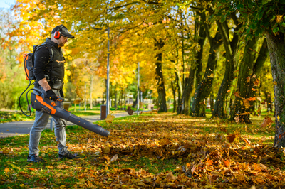 Cedrus BL210-P Cordless blower Cedrus 60V BL210-P, without battery and charger CEDBL210-P
