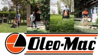 OLEO-MAC OM-LINE WRE1800 GREEN AERTICULATOR 2-in-1 + 2 WOLDS 1800W / 38 cm - OFFICIAL DISTRIBUTOR - AUTHORIZED DEALER OLEO MAC
