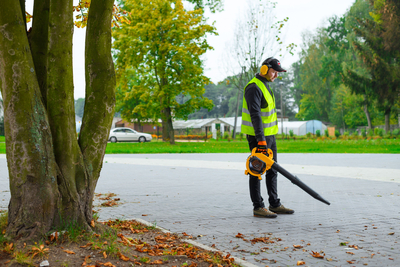 CEDRUS DM03 2-in-1 GARDEN SPRINAL VACUUM CLEANER - OFFICIAL DISTRIBUTOR - AUTHORIZED DEALER CEDRUS