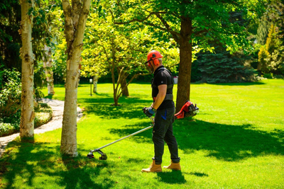 CEDRUS WK430X PETROL GRASS TRIMMER MOWER 1.8 KM EWIMAX - OFFICIAL DISTRIBUTOR - AUTHORIZED CEDRUS DEALER
