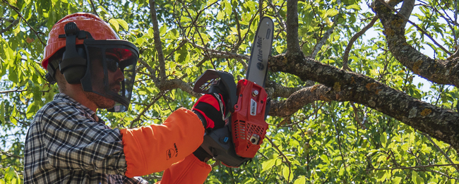 OLEO-MAC GSTH 240 PROFESSIONAL CHAINSAW CHAIN SAW LOPPER LOPPER LOPPER PREMIUM GRADE 50359001E5 EWIMAX-OFFICIAL DISTRIBUTOR - AUTHORIZED OLEO-MAC DEALER