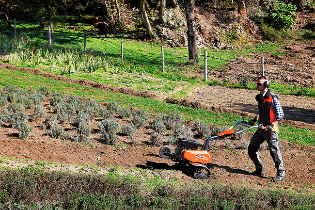 OLEO-MAC MH 198 RKS SPRINAL GARDEN CULTILIZER 6 hp / 85 cm PREMIUM CLASS 68589012E5 EWIMAX - OFFICIAL DISTRIBUTOR - AUTHORIZED DEALER OLEO-MAC