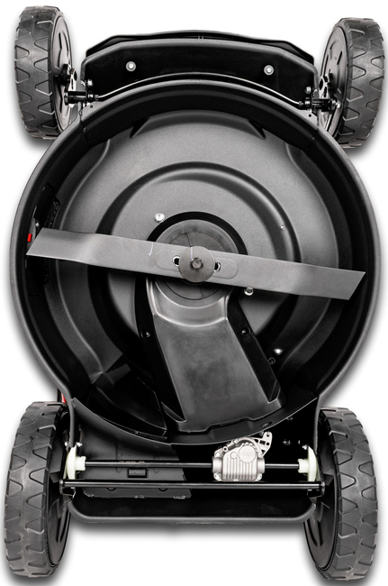 CEDRUS KS53S-E MOTORIZED VINE MOWS WITH DRIVE AND SPRINKLER - 53cm / 5,7 HP - EWIMAX - OFFICIAL DISTRIBUTOR - AUTHORIZED DEALER CEDRUS