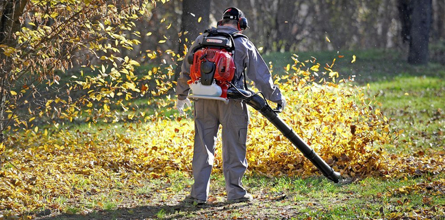 CIFARELLI BL1200 LEAF BLOWER VACUUM CLEANER BL 1200 GARDEN PROFI PROFESSIONAL - OFFICIAL DISTRIBUTOR - AUTHORIZED CIFARELLI DEALER