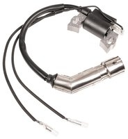 Cedrus scarifier WR01 ignition module 31301-E010030-00000