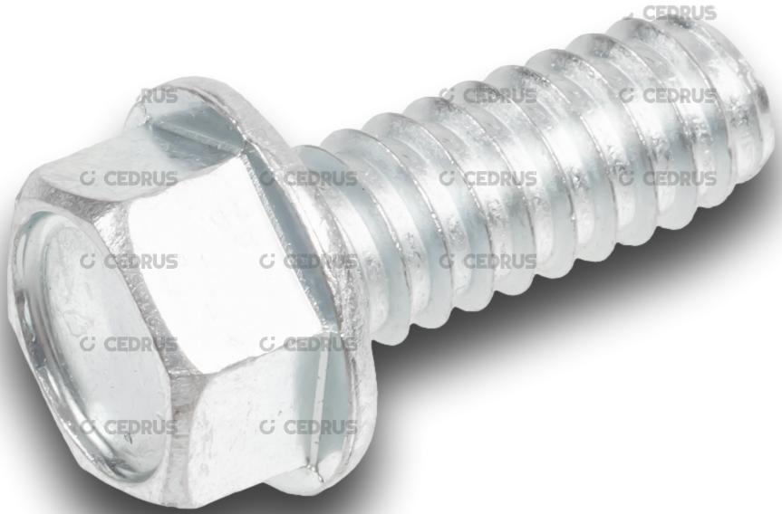 ŚRUBY ŚRUBA SAMOGWINTUJĄCA DO MOCOWANIA MONTAŻU WKRĘCANIA SILNIKA LONCIN LC1P92F1 EMAK DO TRAKTORKA SECO , OLEO-MAC , CEDRUS 3/8"x1" N309578548 CZĘŚĆ