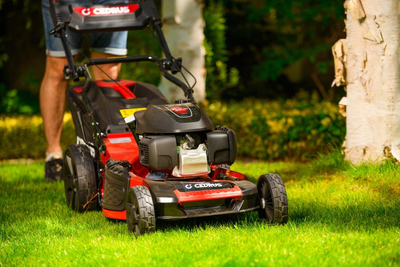 HONDA KOSIARKA SPALINOWA DO TRAWY CEDRUS KS53S-H AL ALUMIONIOWA Z NAPĘDEM HONDA GCV200 5w1 53cm / 4.1 KM - EWIMAX - OFICJALNY DYSTRYBUTOR - AUTORYZOWANY DEALER CEDRUS