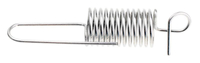 Speed controller spring Cedrus Y196V 480516