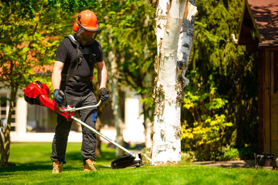 CEDRUS WK520X KOSA SPALINOWA DO TRAWY PODKASZARKA WYKASZARKA 2 KM EWIMAX - OFICJALNY DYSTRYBUTOR - AUTORYZOWANY DEALER CEDRUS