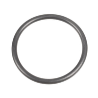 Wiper P70S lawn mower gasket C02114